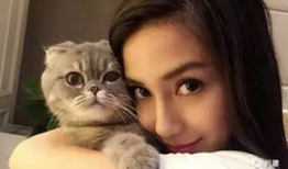 娱乐圈吃瓜猫咪是谁呀,揭秘网络红星的幕后推手